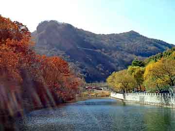 新澳天天开奖资料大全旅游团，押切萌